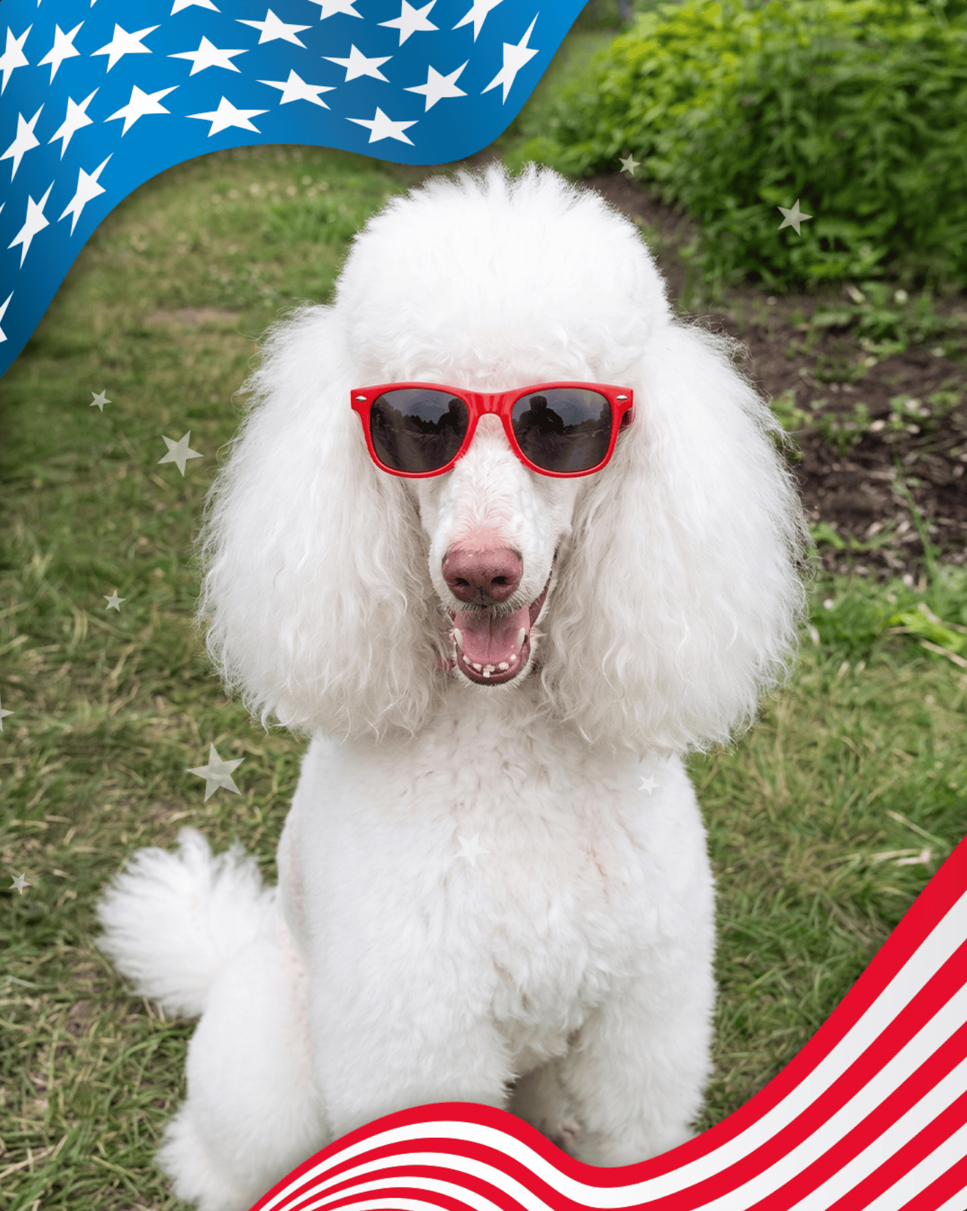 Boots wants yall to stay safe this 4th of July weekend!